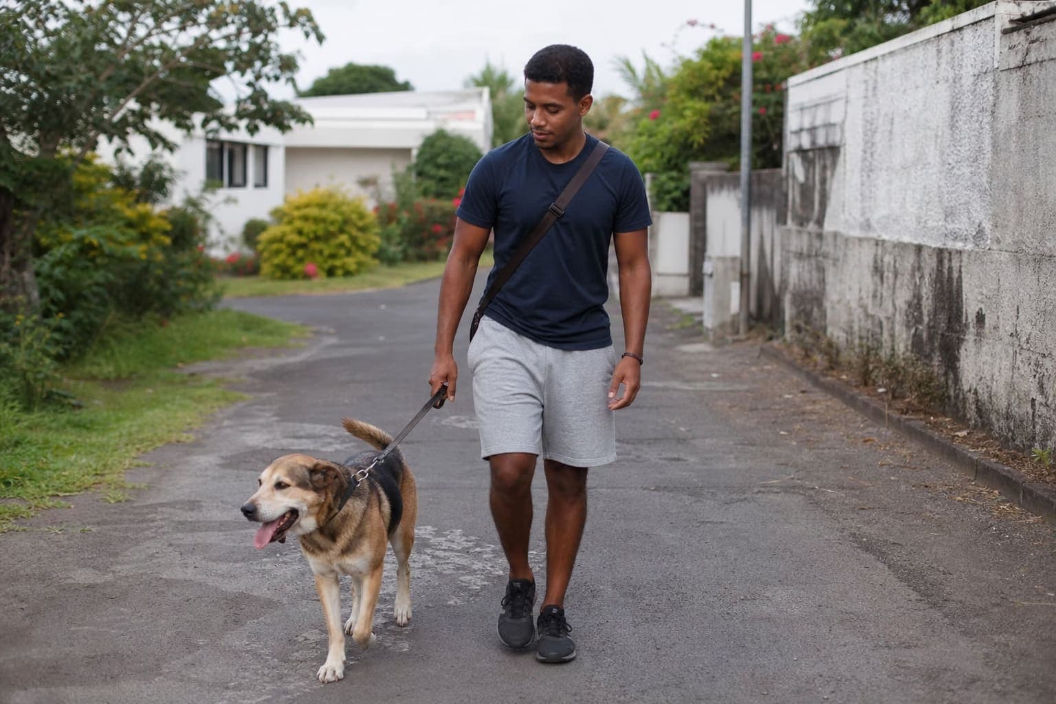 Petsitting et accompagnement quotidien d'un animal à La Réunion